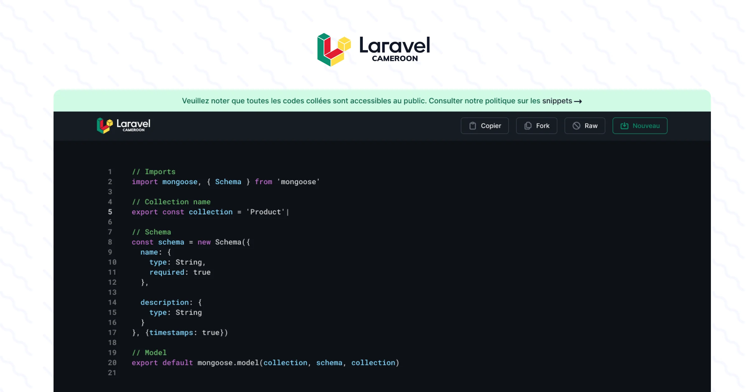 Image d'illustration pour Laravel Cameroun Code snippets