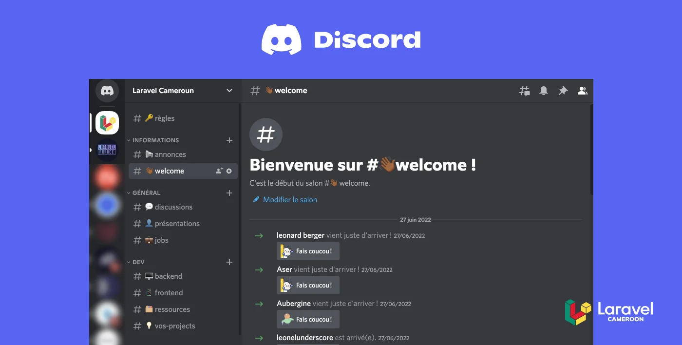 Image d'illustration pour Laravel Cameroun lance son serveur Discord
